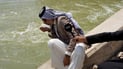 النجف تحارب الطحالب بالكلور وتغسل الفلاتر لتوفير مياه شرب معقمة