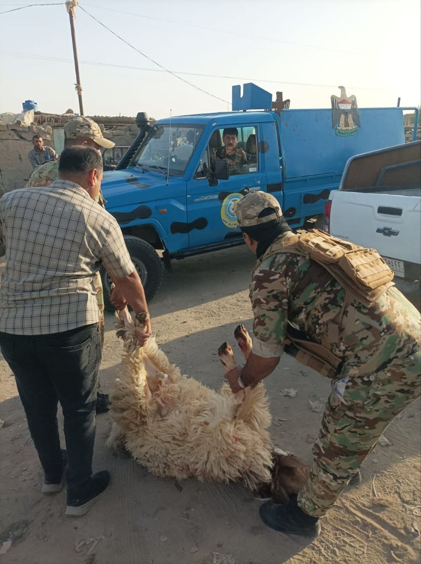 صور: اعتقال 3 جزارين ومصادرة ذبائح غير صالحة في سوق الشيوخ