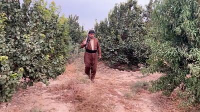 كاكائي يشرح كل مقامات العراق ويغني مع أولاده أثناء العناية برمان داقوق الساحر