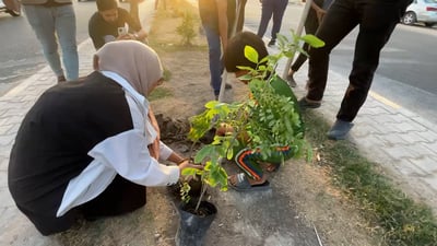 النجف: عشرات البنات والأولاد استغلوا الخريف لزراعة 600 شتلة في الطرقات (فيديو)