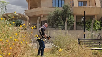 الحشرات أخرجت شباب قرقوش للشوارع والحدائق.. إزالة الأعشاب والحشائش الضارة