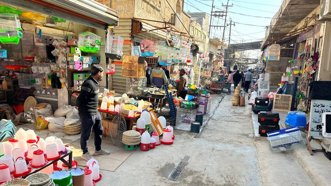صور: انتعاش سوق الحيوانات في الديوانية.. الأهالي يفضلون “السكوتش” الثمين