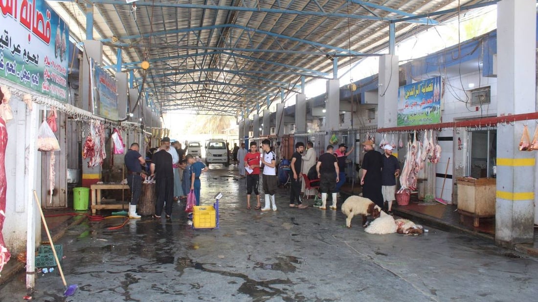 الجلود والعظام تجذبها.. كلاب سائبة تهاجم شابين في سوق القصابين بالقائم