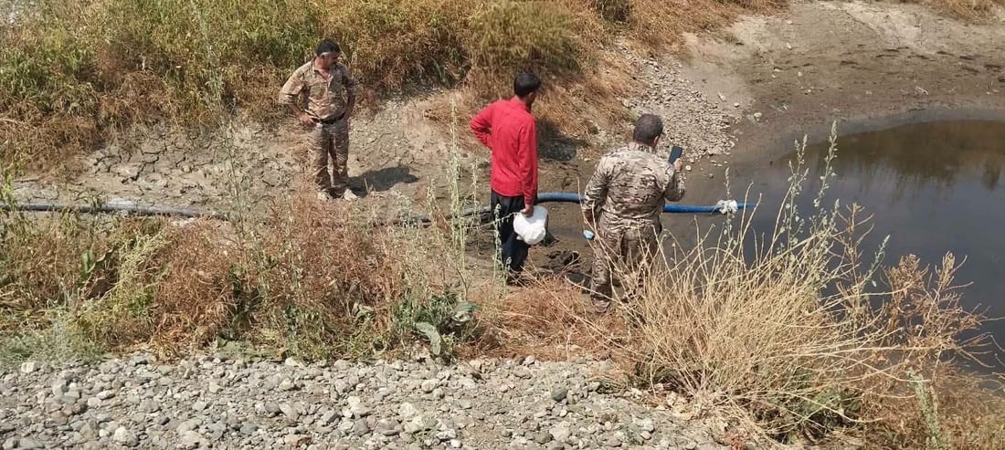 لە سنووری پێنجوێن سەدان ماسی مەترسی لەناوچوونیان لەسەرە