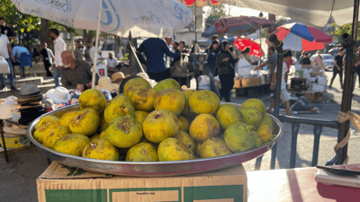 نۆبەرەى هەنجیرى تەقتەق بازاڕى سلێمانى ئاوەدان کردەوە