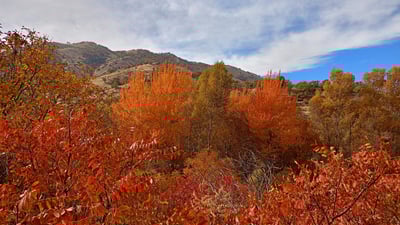 گەرماکە نیازی نییە وا بە ئاسانی واز بهێنێت و کەمێک بەرزدەبێتەوە