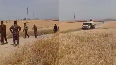 بەهۆی شۆرتی کارەبا نزیکەی پێنج دۆنم دەغڵودانی جوتیارێک سوتا