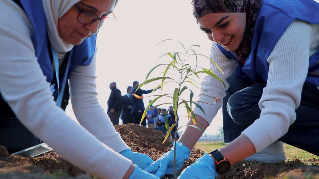 بغداد وأربيل مع الـ UN في حملة كبرى لتخضير العراق.. 5 ملايين شجرة بعموم البلاد