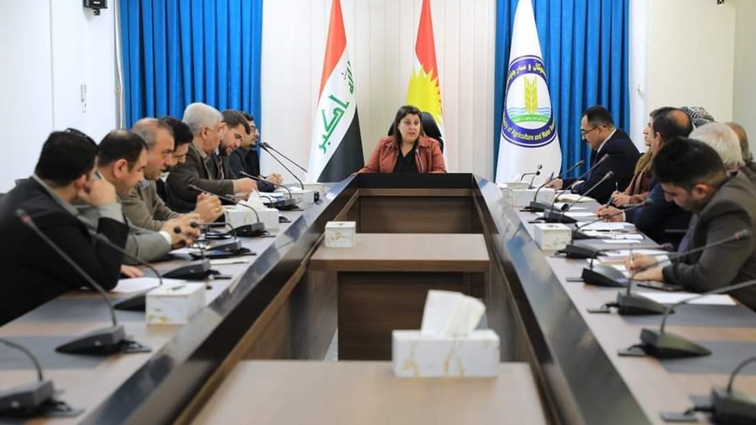 كردستان: إجراءات صارمة لمنع الدجاج “القجق” من إيران وتركيا