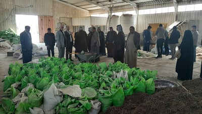 صور: ندوة إرشادية لتعليم فلاحي المثنى زراعة “الفطر الأبيض”