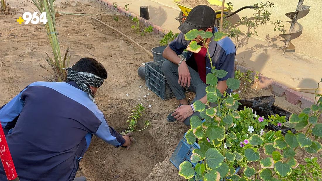 Safwan municipality plants 1000 seedlings in schools for ‘Green Cell’ project