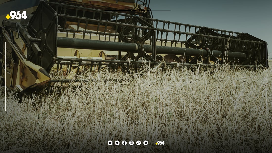 دەڕاسە گەنجێکی قووتدا