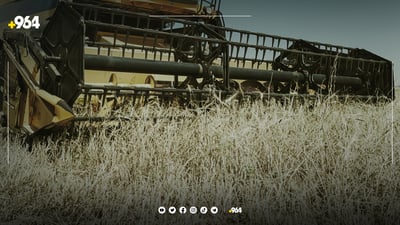 دەڕاسە گەنجێکی قووتدا