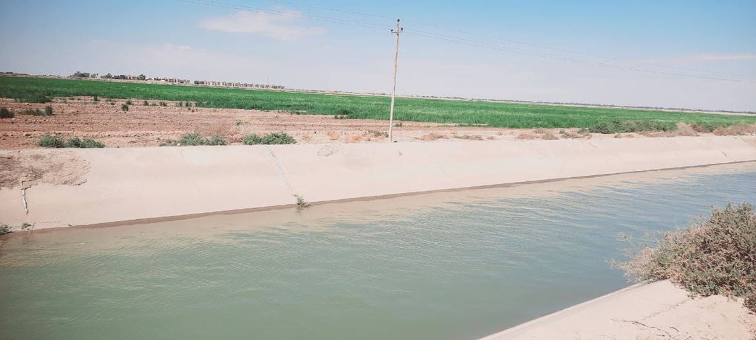 السماد صار بسعر السكر.. مزارعو الدجيلي حصلوا على الماء لكن الكهرباء خذلتهم (صور)