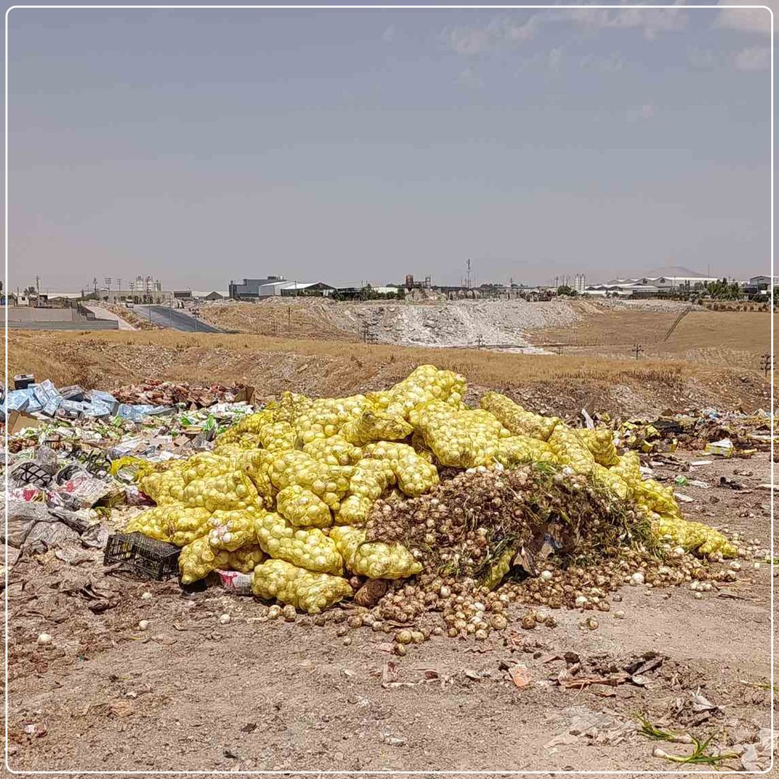 زیاتر له‌ 16 تۆن خۆراک و كاڵای خراپبوو لە سلێمانی دەستی بەسەرداگیرا