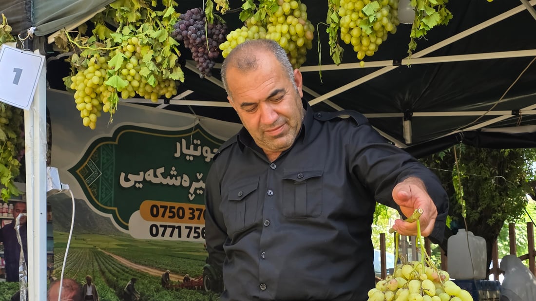 جوتیارێکی سەیدسادق جۆرە جیاوازەکانی ترێ نمایش دەکات