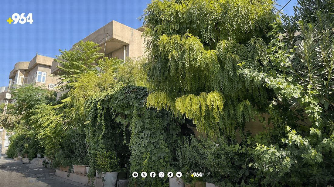 ئەگەر داری بەردەم ماڵەکەت هەڵپاچیت و وشک ببێت سزا دەدرێیت