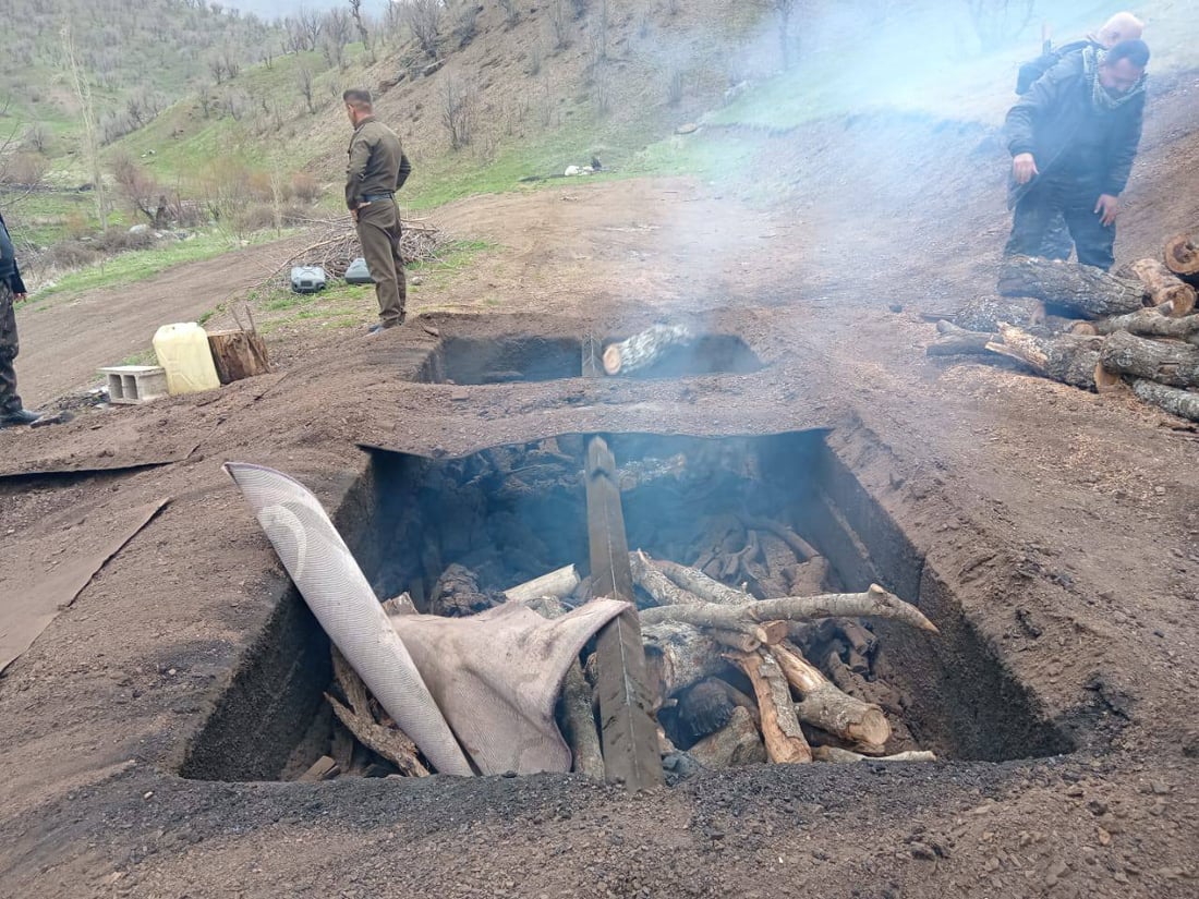 لە گوندێکی پێنجوێن 18 کورەی خەڵوز تێکدرا 