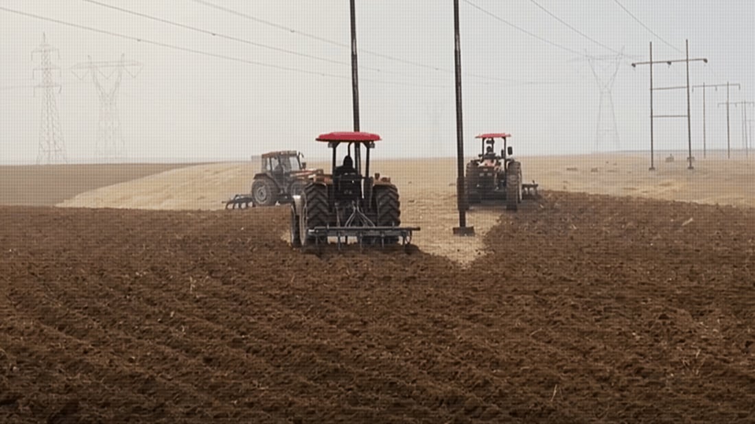 سه‌نگاو وه‌كو یه‌كه‌م شوێنى هه‌رێمى كوردستان باران په‌ڵه‌ى دا