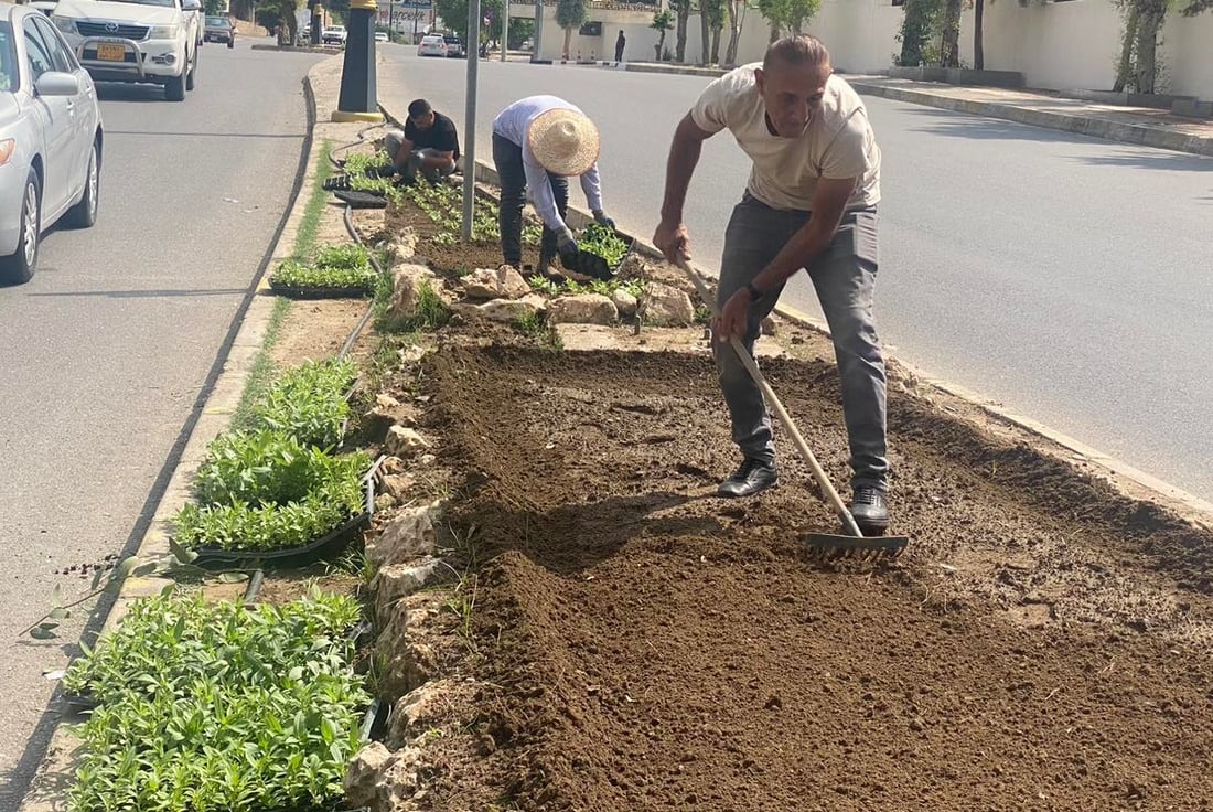 شەقامەكانی دهۆك بە گوڵ دەڕازێنرێنەوە