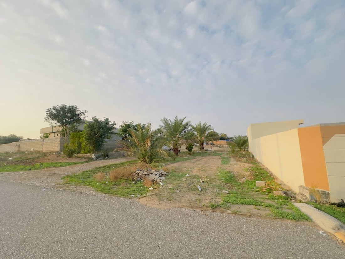 دەنگۆی فرۆشتنی چوار گوند لە خانەقین هەرای ناوەتەوە