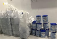 100 قوتوو شیری رێگه‌پێنه‌دراو ده‌ستیبه‌سه‌ردا گیرا