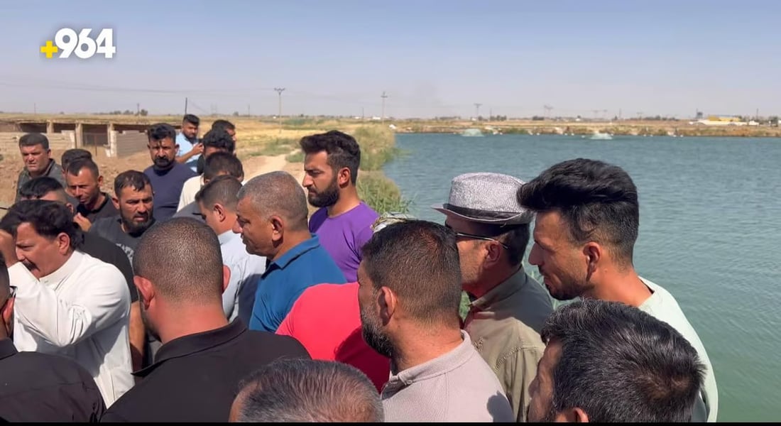 964mediaصورة من منصة (شبكة): 