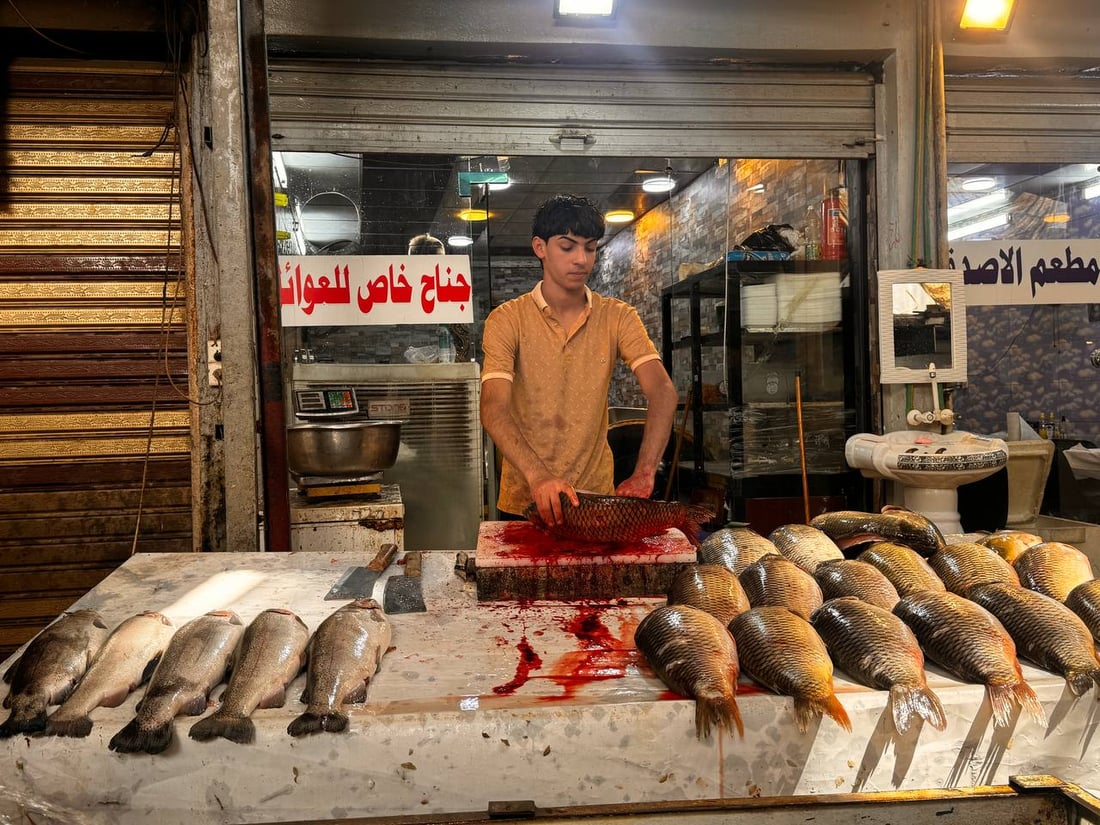 سوق السمك في الموصل ينتعش.. زوار أجانب يتوافدون يومياً (صور)