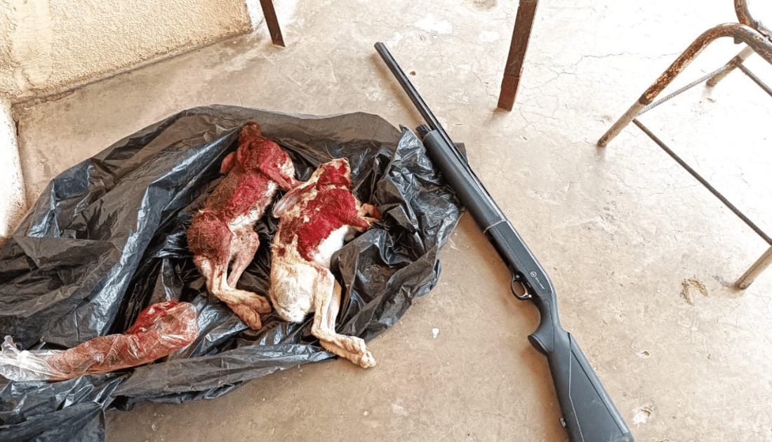 راوچیەک دەستگیرکرا و بەدوای دووانی دیکەشدا دەگەڕێن