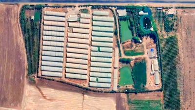 هەلی کار بۆ دەرچووانى بەشى کشتوکاڵ دەڕەخسێنرێت