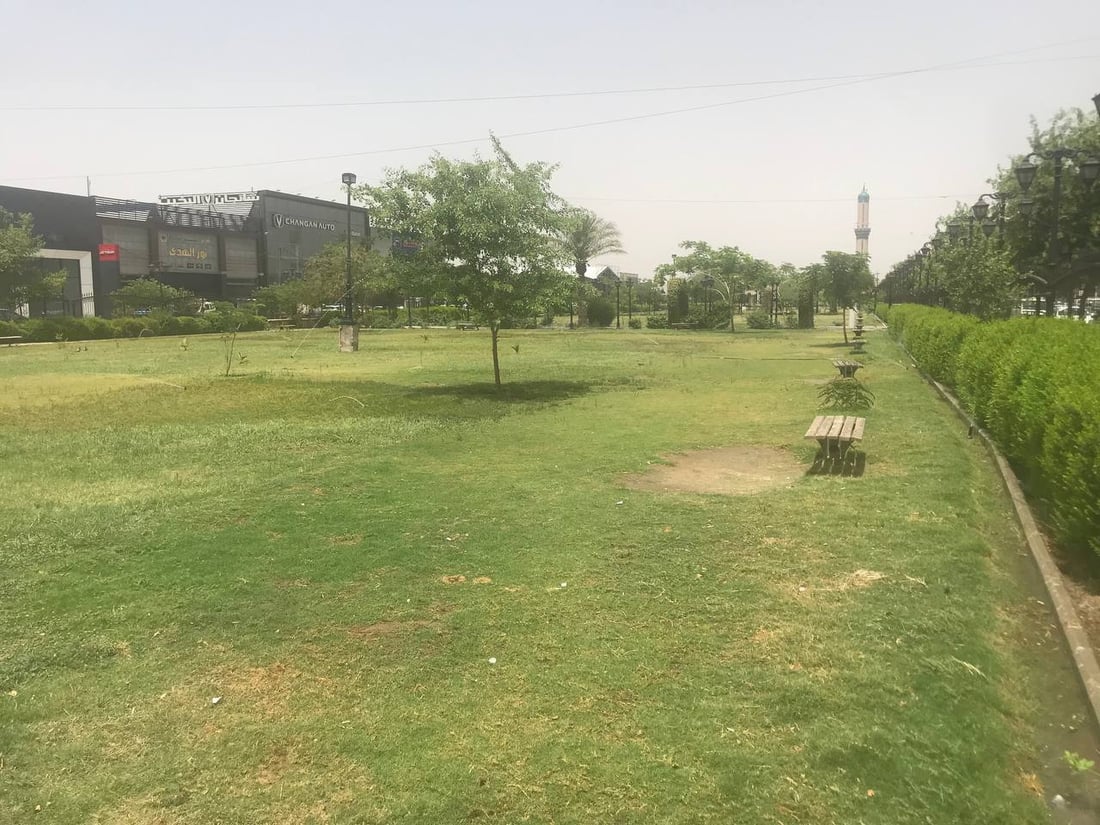 صور تهدئ الأعصاب: أشجار وثيل طبيعي لتزيين متنزهات البياع غربي بغداد