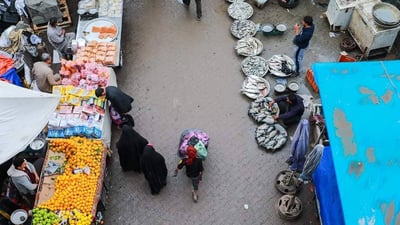 اللحم بـ13 ألف والطماطم بـ300 دينار.. انخفاض أسعار الخضروات واللحوم في المشخاب