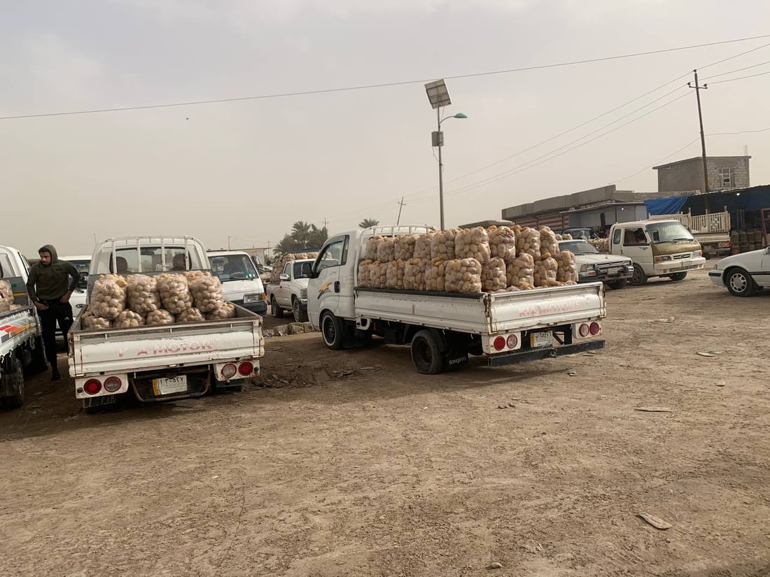 أبو غريب: انخفاض أسعار الشلغم إلى النصف.. والبطاطا أول الأسباب