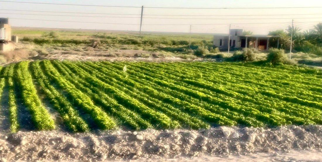 صور: باميا عراقية تظهر مع نجم سهيل ويتلاقفها جيراننا الكويتيون فوراً!