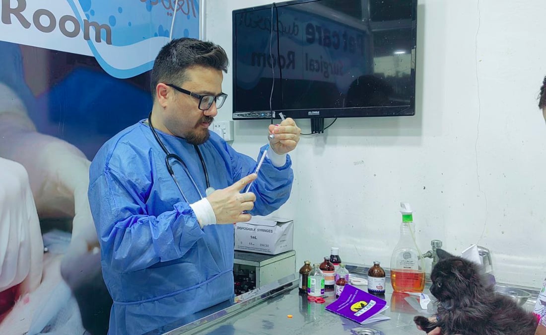 بيطري من الموصل: لا تجبروا قططكم على الاستحمام.. ولقحوها فوراً فقد ظهَر الطاعون