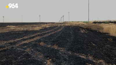 25 دۆنم گەنمی چێندراو بە جگەرەیەک سووتا