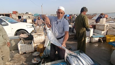 مضاربات ساخنة ترفع أسعار الأسماك في النقعة والزبائن من كلّ العراق (فيديو)