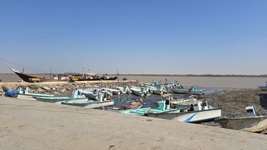 صور: زحام في مرسى النقعة لتجهيز مائدة الجمعة.. وطلب كبير على سمك الديايو