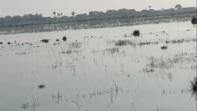 Basra directorate denies claims of tidal flooding