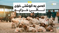 ئاژەڵی پێنج وڵات لە مەیدانەکەی سلێمانین، ئیتر بۆ نرخی ...