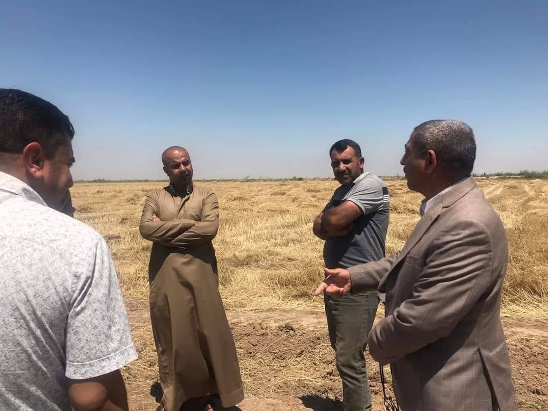 من الدبوني يبدأ حصاد الحنطة في واسط.. الزراعة “الهرفية” تنهي الموسم بنجاح (صور)