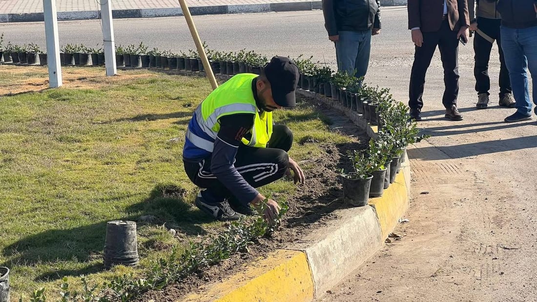 حملة التشجير الربيعية انطلقت.. صور من 8 مدن في الأنبار