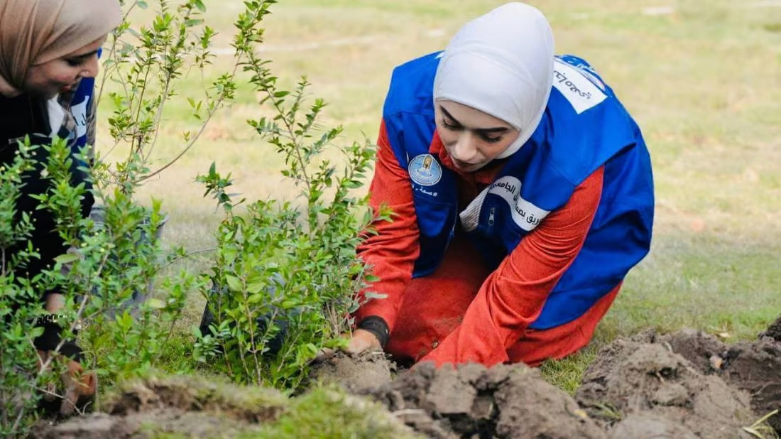 Volunteer team plants 9,000 trees in Baghdad university campus