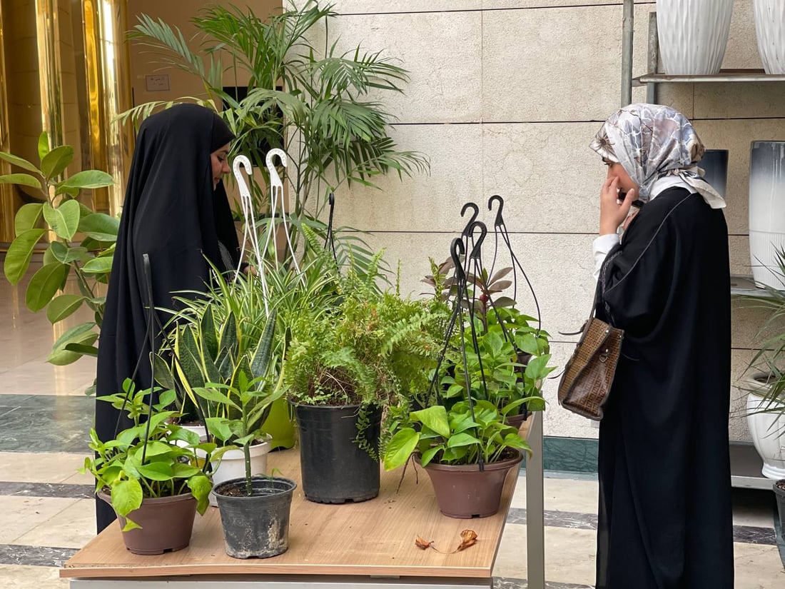 صور: نباتات نادرة في أول معرض للزراعة بالنجف وطموحات لنقل التجربة لمحافظات أخرى