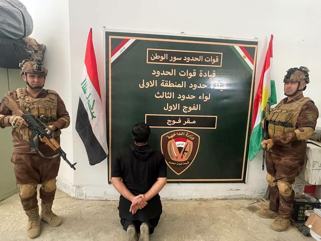 پاسەوانى سنوور لە سنوورى سلێمانى 185 مانگایان دەستبەسەرداگرت