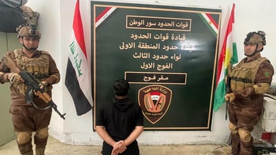 پاسەوانى سنوور لە سنوورى سلێمانى 185 مانگایان دەستبەسەرداگرت