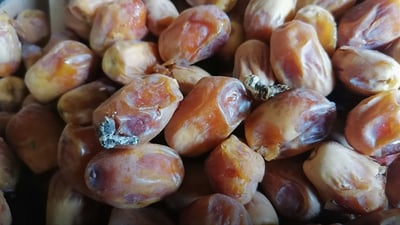سەوزە و میوەفرۆشێک لە سلێمانی سزا درا