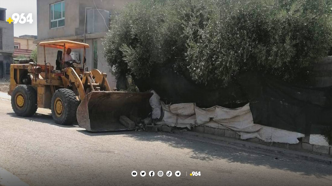 شارەوانی كولانەی مریشكەكانی لابرد