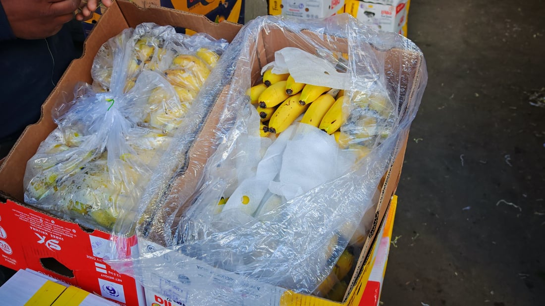 کیلۆیەک مۆز بە دوو هەزار و 500 دینار دەگات بە هاوڵاتی