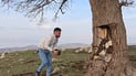 Honey hunters hollow out 150-year-old tree in Darbandikhan village, residents say